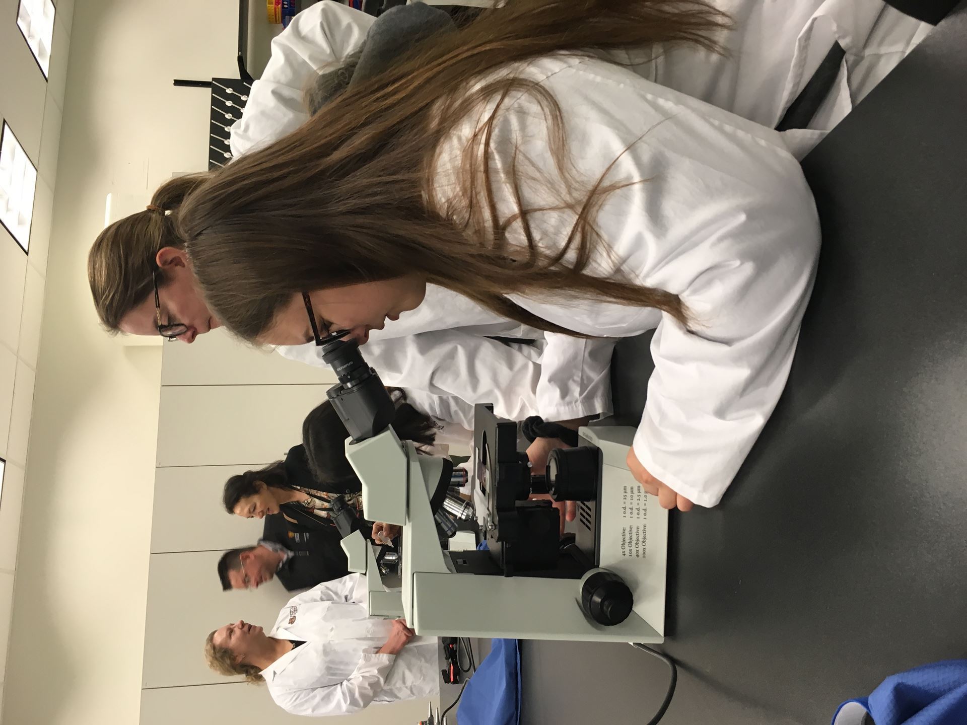 VJKF Student looking through a microscope with professor looking on. In the background are three other mentors and a student working.